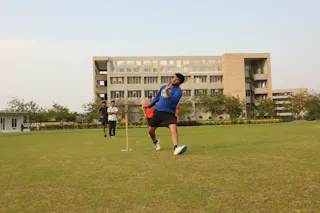 The playing field and the courts